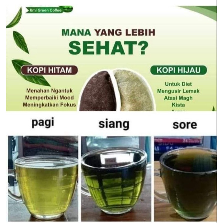 

Umi Green Coffee