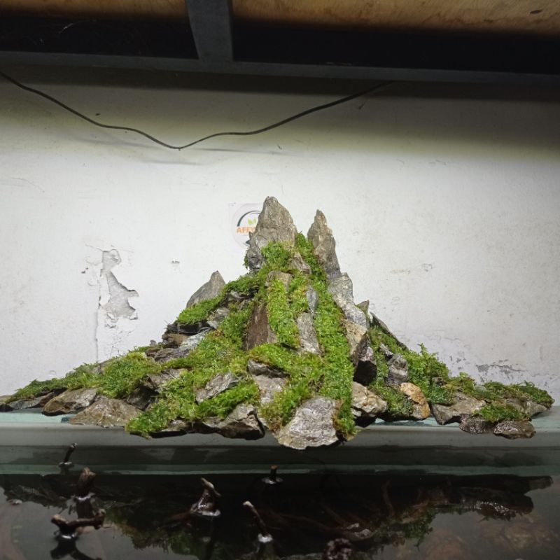 hardscape aquascape tema pegunungan.