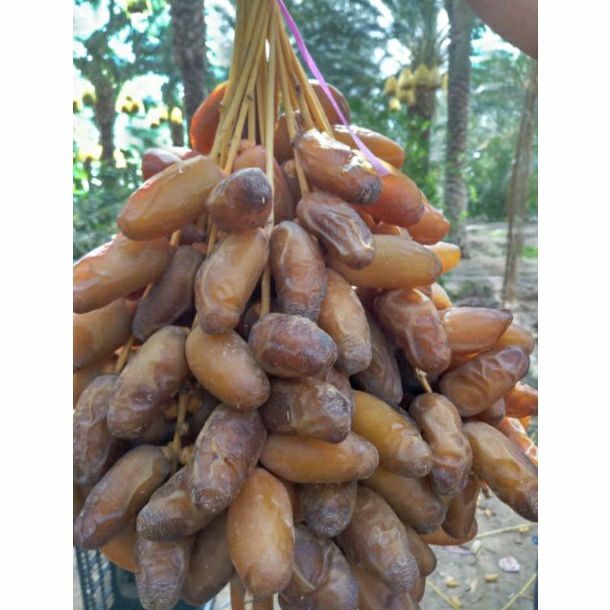 

kurma tangkai/falm fruit kemasan 1Kg