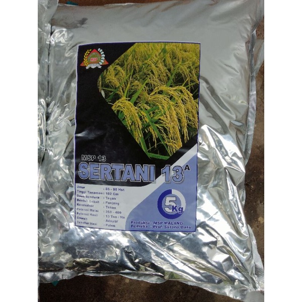 benih padi SERTANI 13A