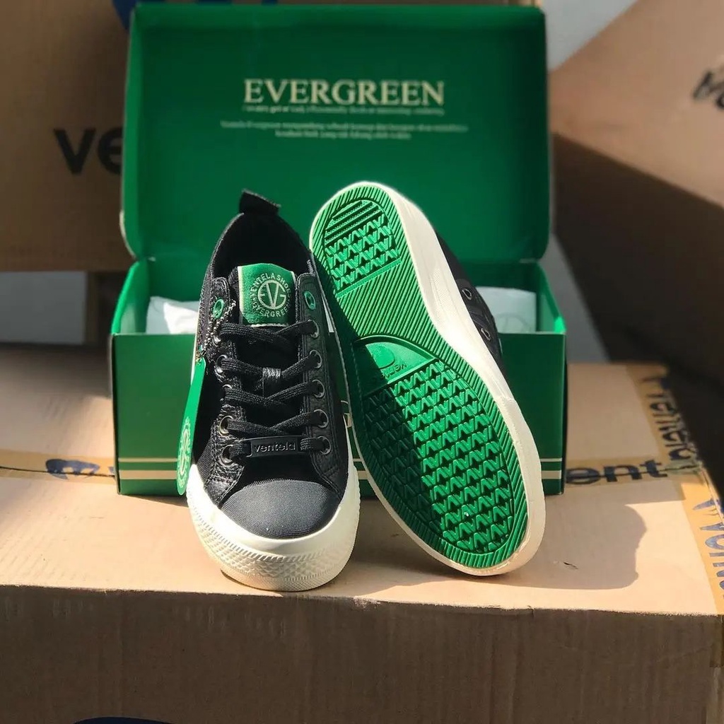 Ventela Evergreen Low