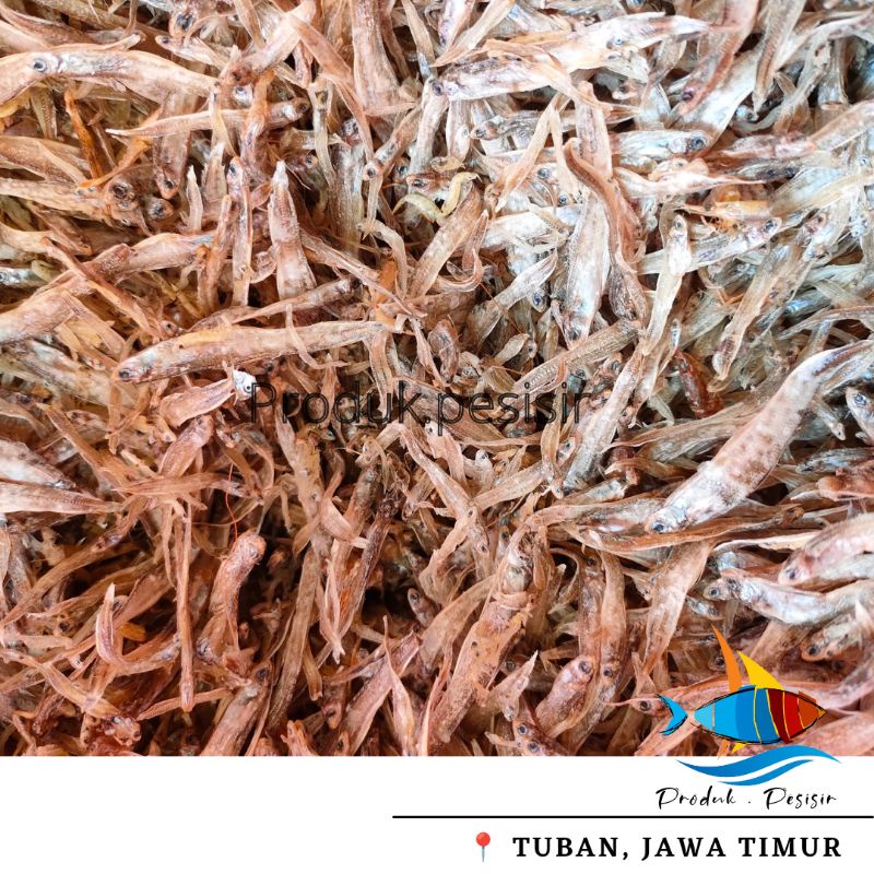

Ikan Dolo/ Gereh Dolo/ Dolo Tawar/ Dolo Murah