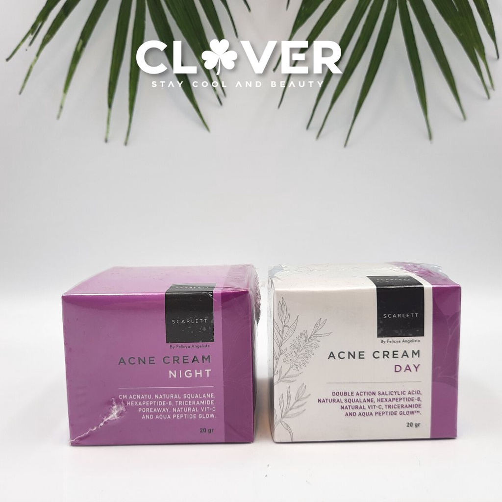 CUCI GUDANG - SCARLETT ACNE DAY&NIGHT CREAM EXP 2026
