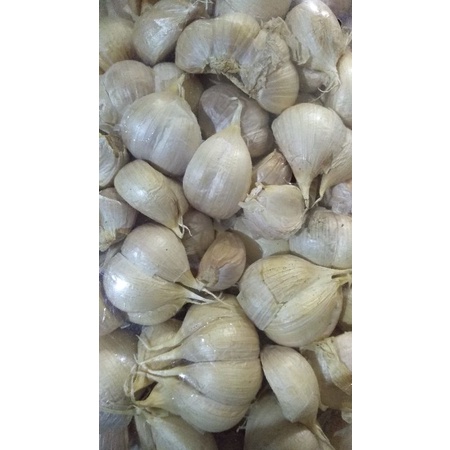 

Bawang Putih 250 g