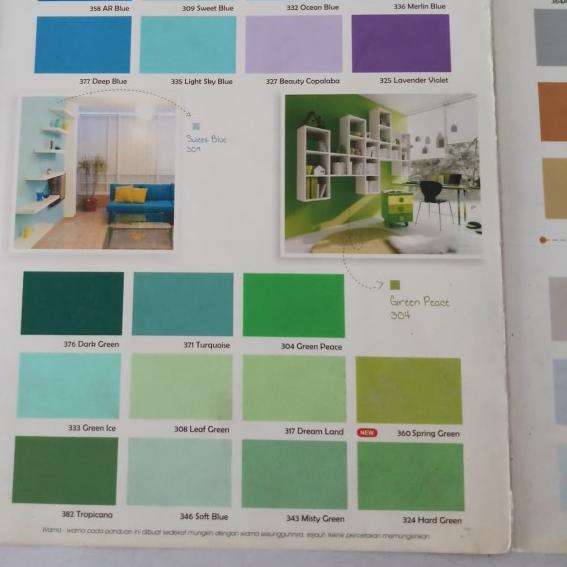 Cat paragon 5 kg. paragon galon