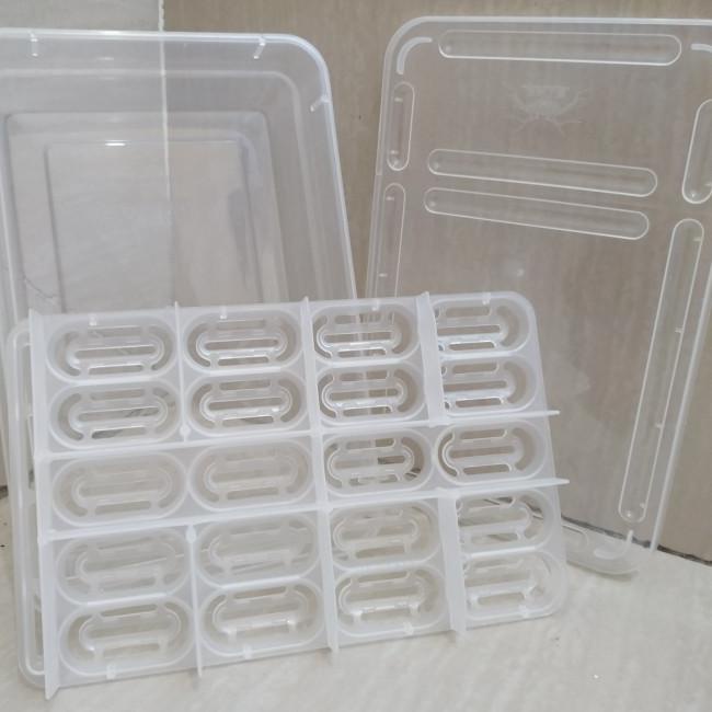 kotak telur reptile / egg tray incubator reptile - tray 20