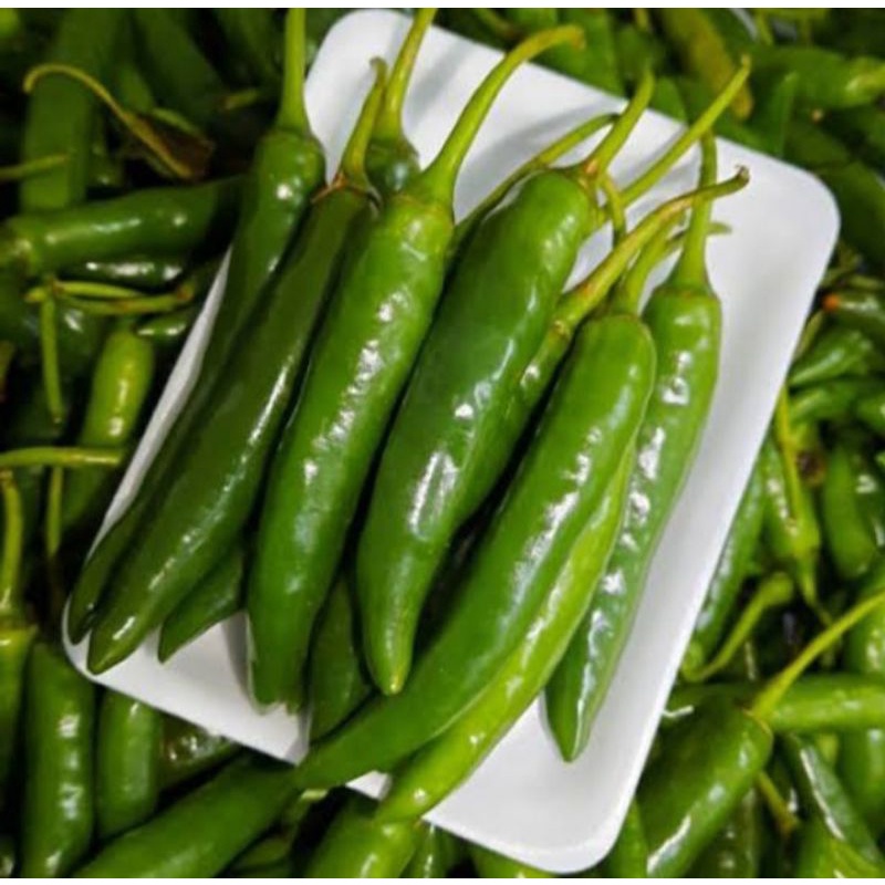 

CABAI TW HIJAU BESAR 1000gr