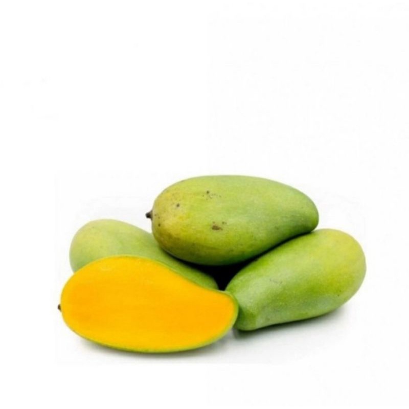 

Mangga Harum Manis