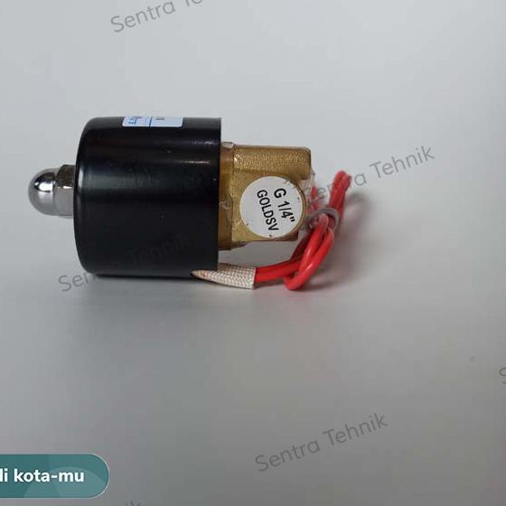 Solenoid Valve 1/4" 1/4 inch 220VAC