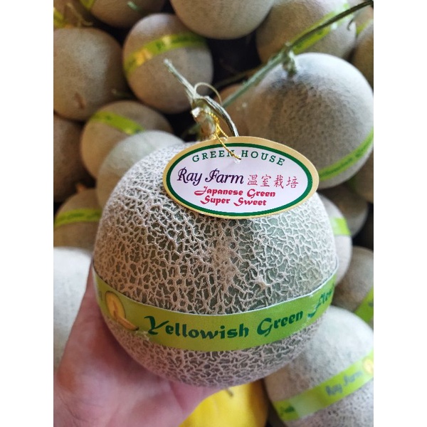 

melon Cantalop japanese green super sweet | pcs