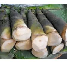 

REBUNG BAMBU BELUM DIKUPAS Per-biji