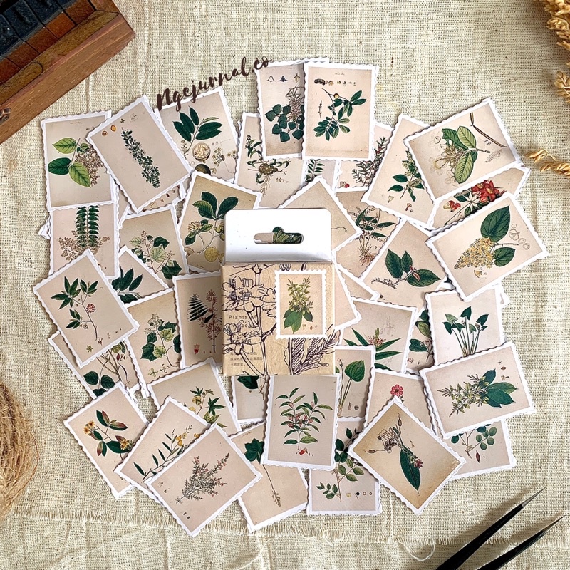 

Stiker Motif Tanaman untuk Scrapbook / Jurnal / Diary