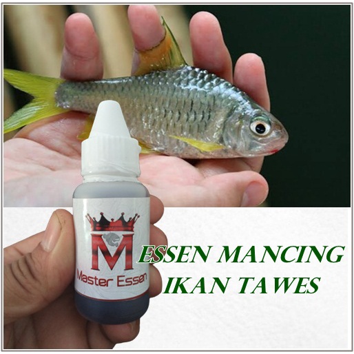 Essen mancing ikan tawes