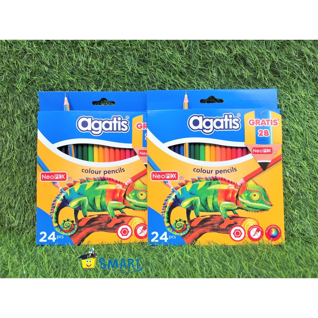 

AGATIS PENCIL WARNA C24