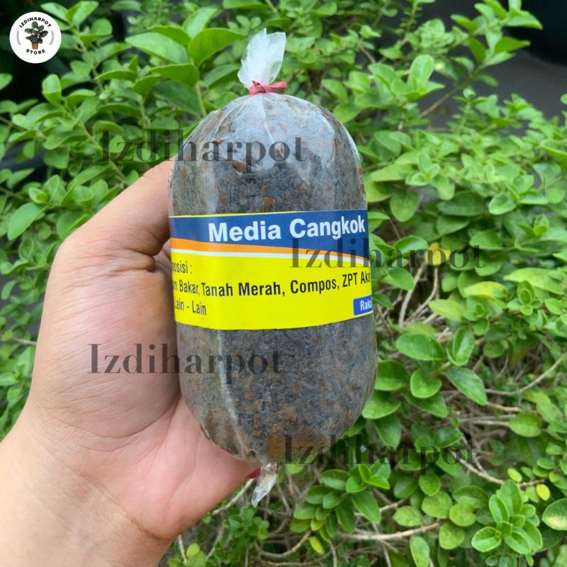 media mencangkok tanaman dalam plastik siap pakai alat cangkok - BESAR