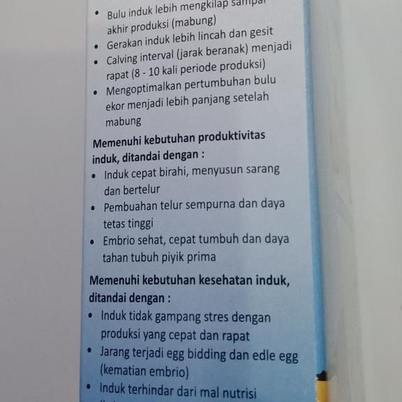 Voer Evolution Shama Food Breeding Pakan Ternak Murai Batu