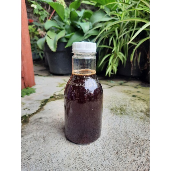 

Madu Murni Multiflora 250 ml