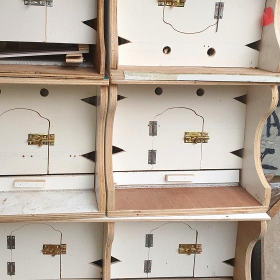 merpati kandang burung dara bupon