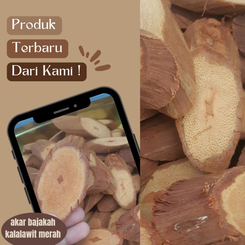 

akar bajakah kalalawit merah original asli kalimantan