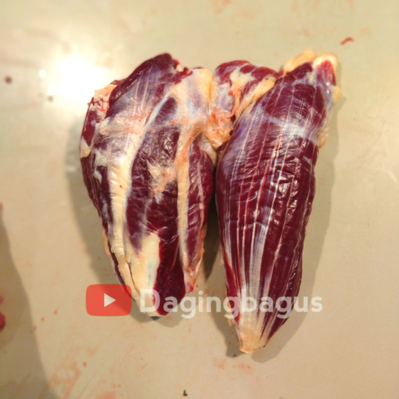 

Daging Sengkel Sapi Bersertifikat Halal