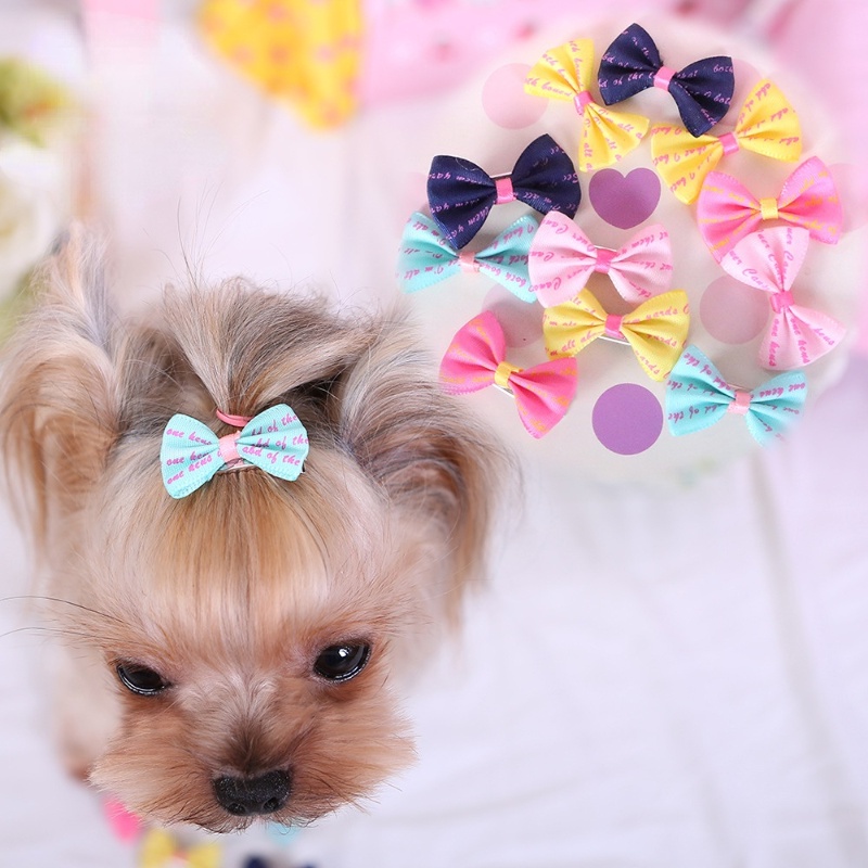 Jepitan Pita Motif Print Warna Warni Untuk Anjing
