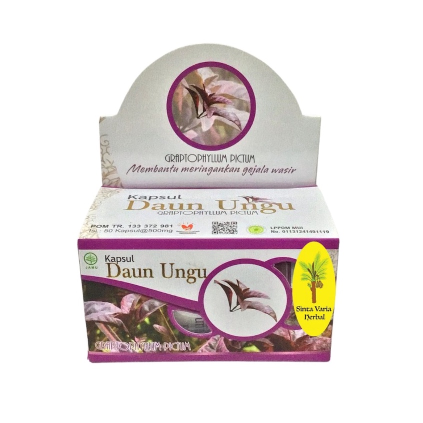 Daun Ungu kapsul,daun ungu