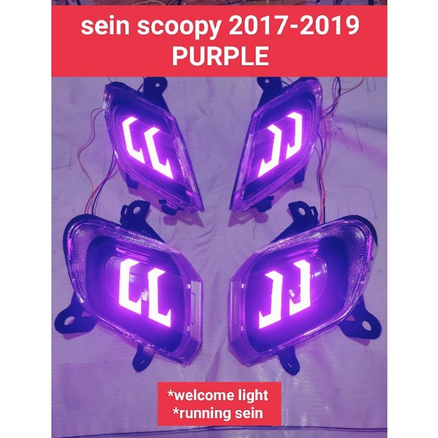 sein scoopy custom 2017-2019