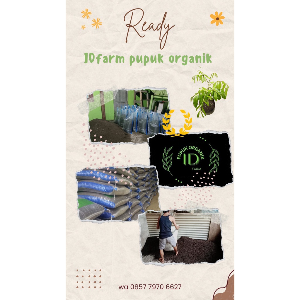 Harga Idfarm Terbaru Sep 2024 Biggo Indonesia