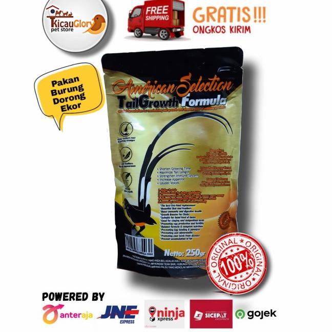AMS Tail Growth American Selection Formula Pur Murai Dorong Ekor