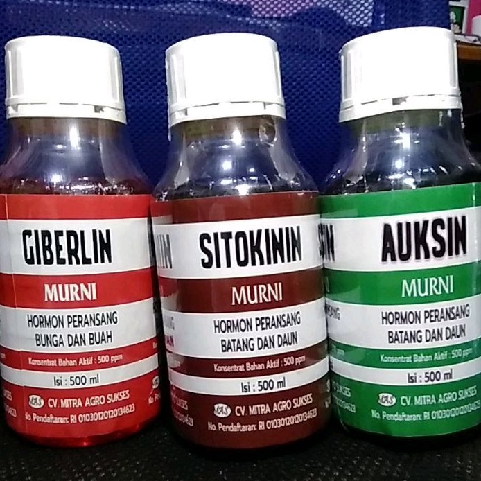 Giberlin Sitokinin Auksin kemasan 500ml