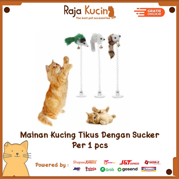 Mainan kucing tikus dengan sucker