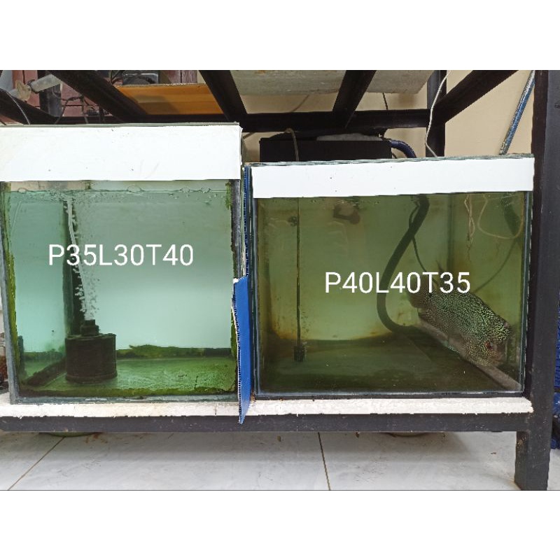 Aquarium/tank/akuarium bekas