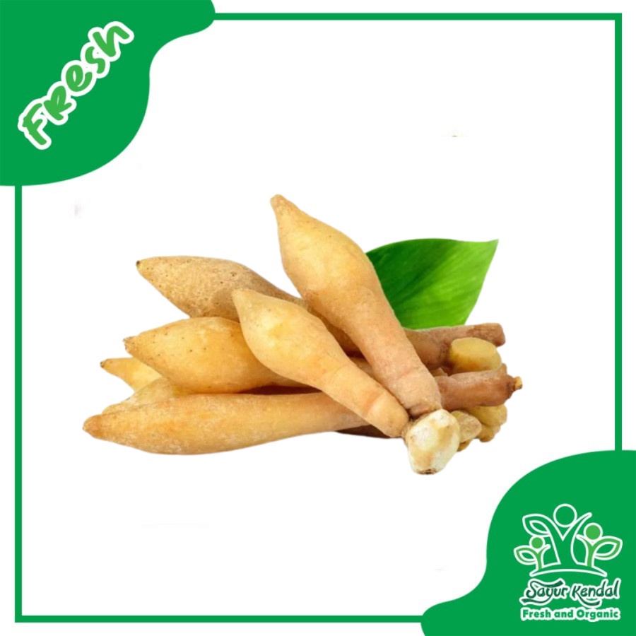 

Temu Kunci - Sayur Kendal