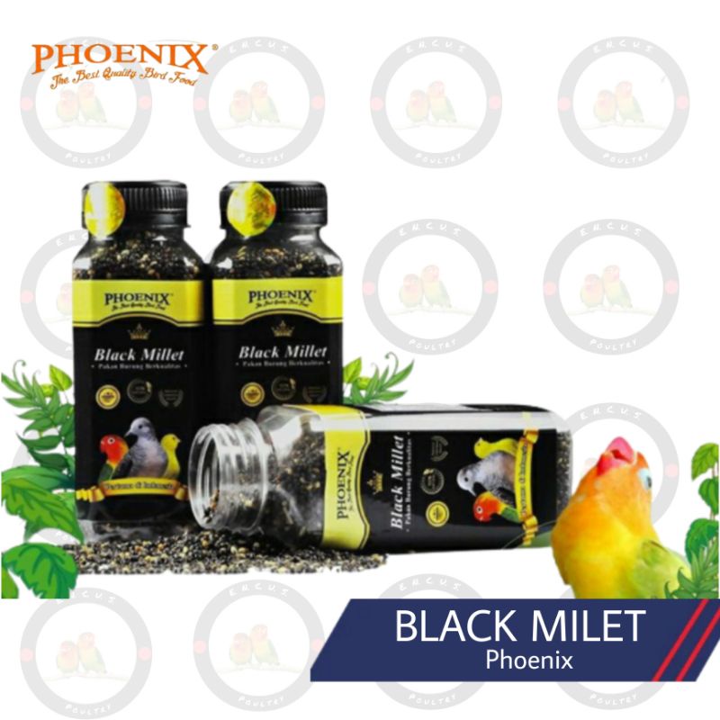 PHONIX BLACK MILET MILET HITAM PAKAN PERKUTUT LOVEBIRD KENARI DLL