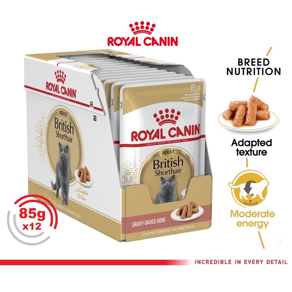 Royal Canin British Shorthair Adult 1BOX (85g x 12pcs) Cat Wet Food Makanan Kucing Dewasa - Feline Breed Nutrition
