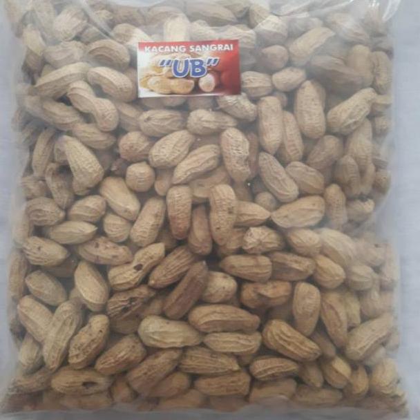 

TERLARIS Kacang Kulit Sangrai UB (1kg) ➛