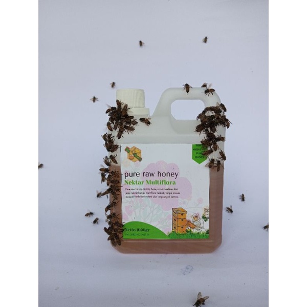 Madu murni madu mentah madu asli Madu multiflora 100gr - 1000gr madu asli 1000%