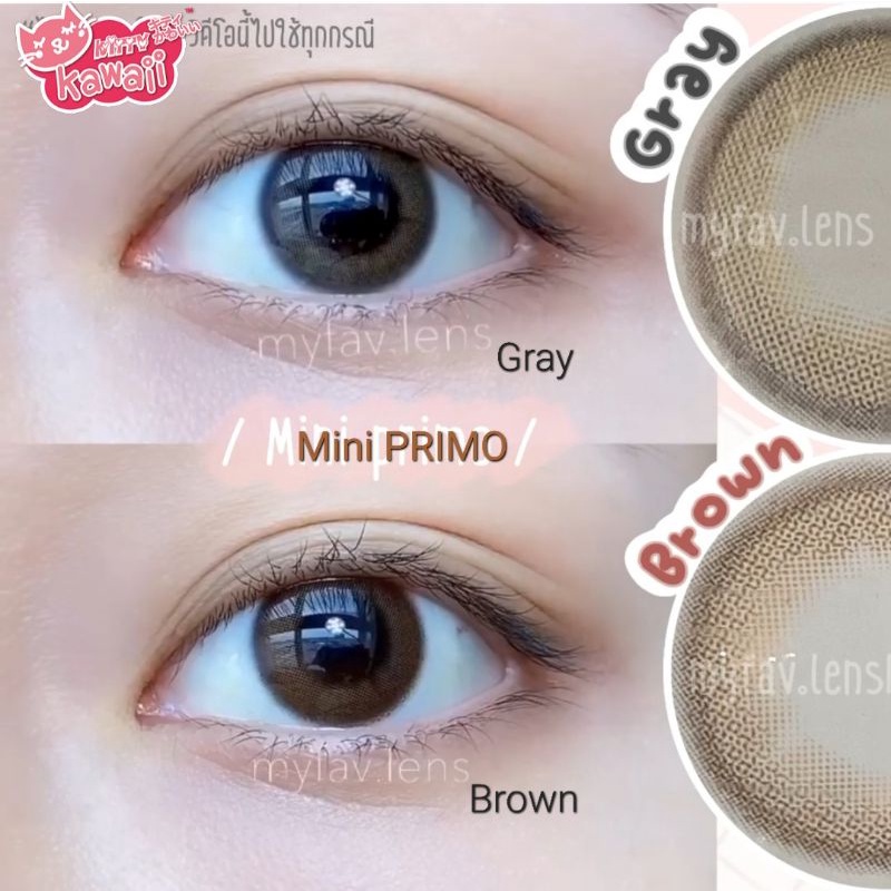 SOFTLENS MINI PRIMO KITTY KAWAII GRAY BROWN NORMAL MINUS NATURAL