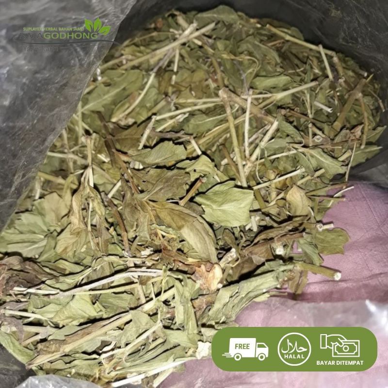 

tapak dara kering berkualitas 500 gram dan 1 kg