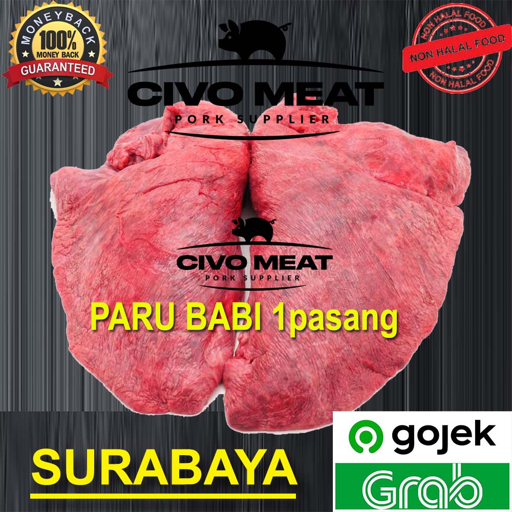 

Paru Babi / Pork Lung Frozen Kualitas Bagus - 1 pcs