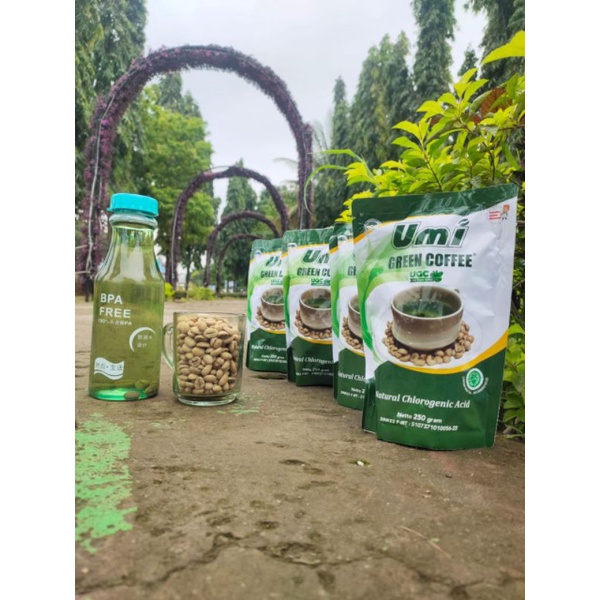 

PAKET USAHA 8 PACK UGC/UMI GREEN COFFEE