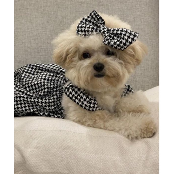 baju anjing poodle jumpsuit houndstooth free pita pawpawsome projects - Hitam, S