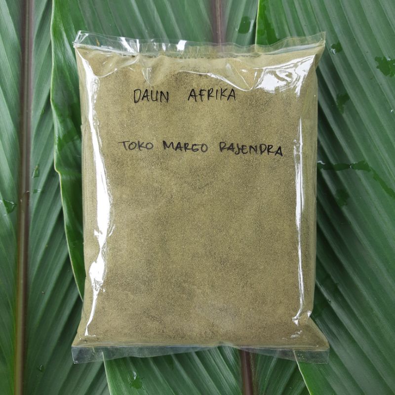 

Bubuk Daun Afrika Selatan / Sambung Nyawa isi 250 Gram