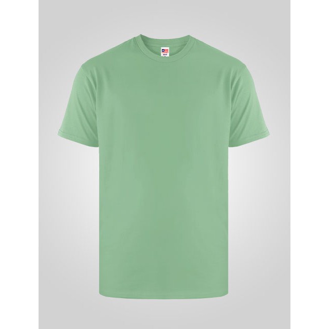 NSA - Premium Cotton T-Shirt 7200 Green Ash