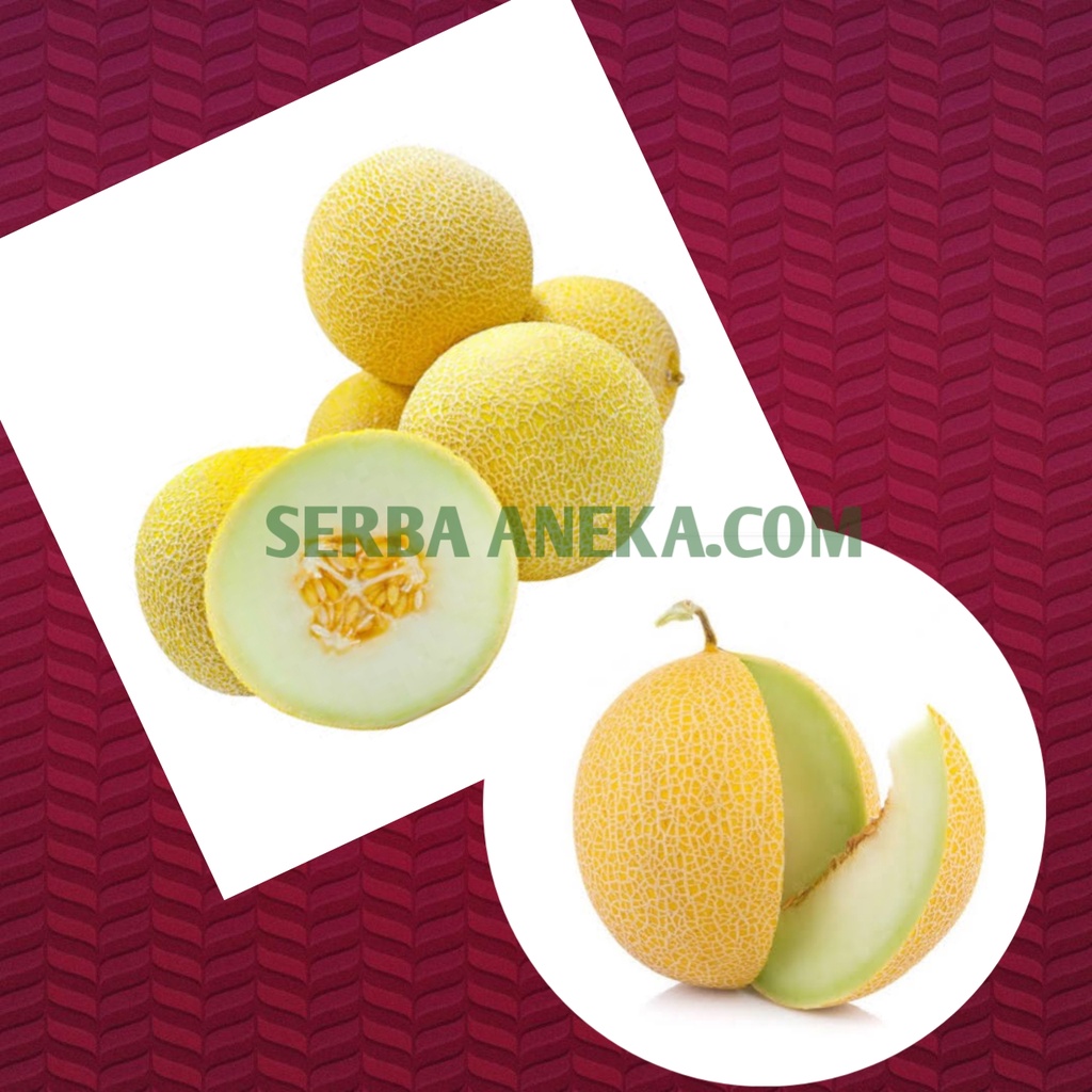 

Buah Melon Super Melon Manis ( Harga Per biji)