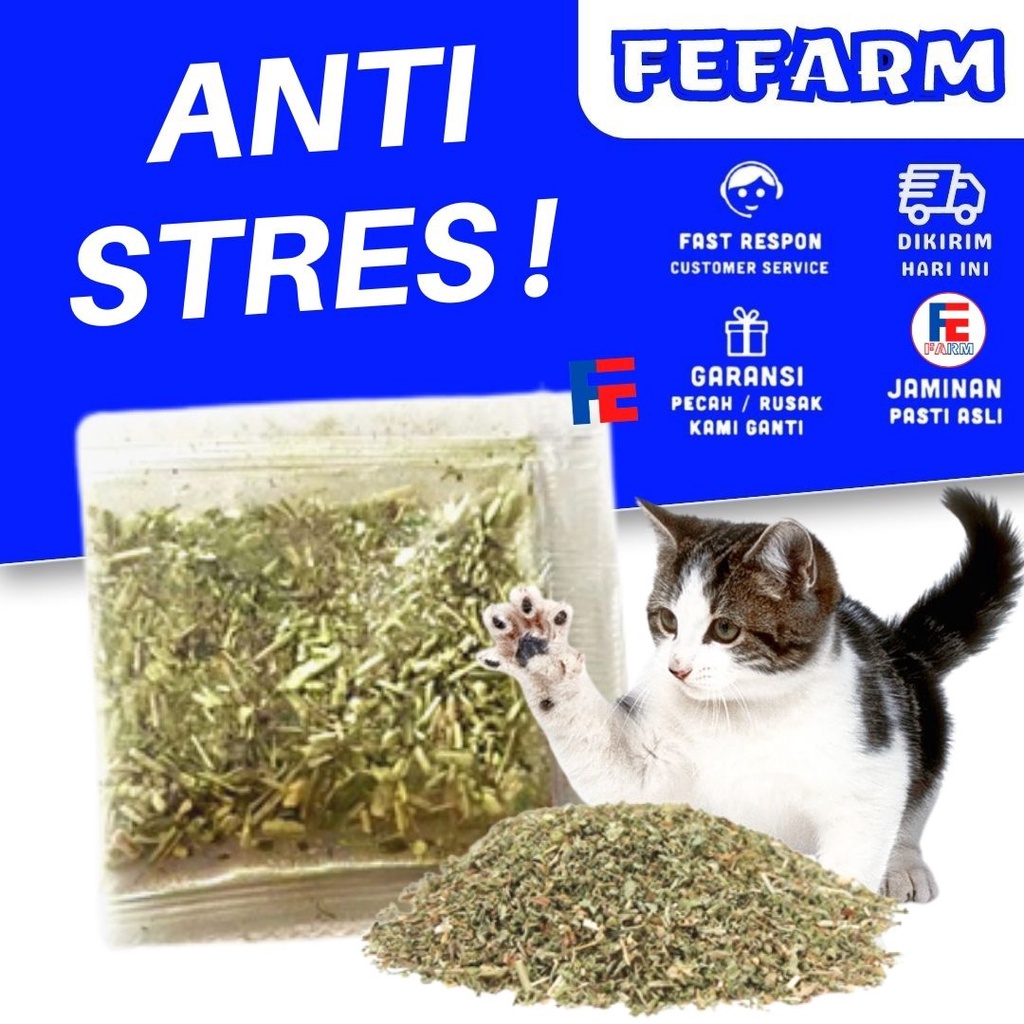 Daun Catnip Bubuk Sachet untuk Kucing 1 Gram FEFARM