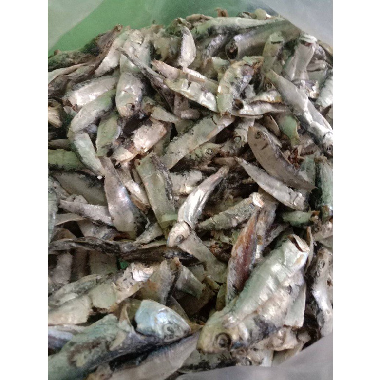 

Teri labak asli Natuna