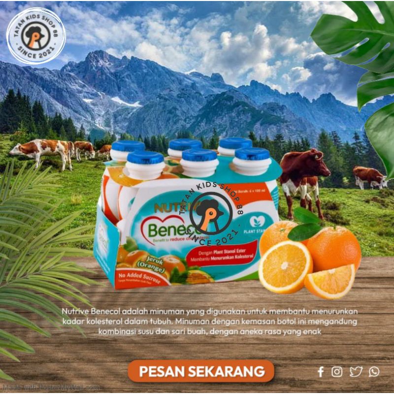 

Nutrive Benecol Kolesterol 6 Botol 100ml Rasa Orange Jeruk Suplemen Diet Detox Untuk Kesehatan