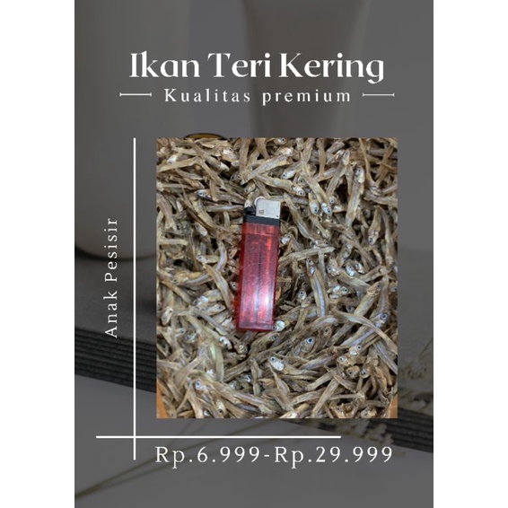 

IKAN TERI KERING ASIN SUPER TERMURAH ENAK & PRAKTIS