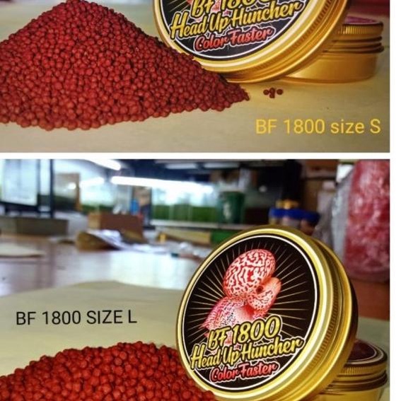 Pelet pakan louhan BF1800 bf 1800 head up collor faster red merah top - S 2mm